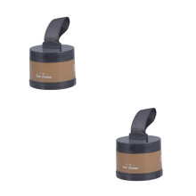 2Pcs Hair Powder Multi Color Easy Use Hairline Makeup for Hairdressing
