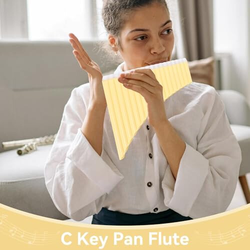 Plastic Pan Flute with Cardboard Carrying Bag 2