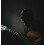 Adagio Pro CLASSICAL Guitar Strings - Normal Tension Nylon - Full Pack/Set 7