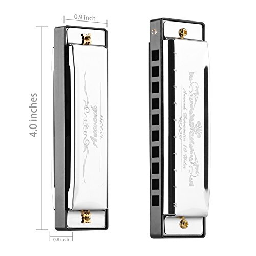 Anwenk Harmonica Key of C 10 Hole 20 Tone Diatonic Harmonica C with Case 1