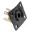 Musiclily 6.35mm Rectangle Guitar Loaded Jack Socket Plate 4