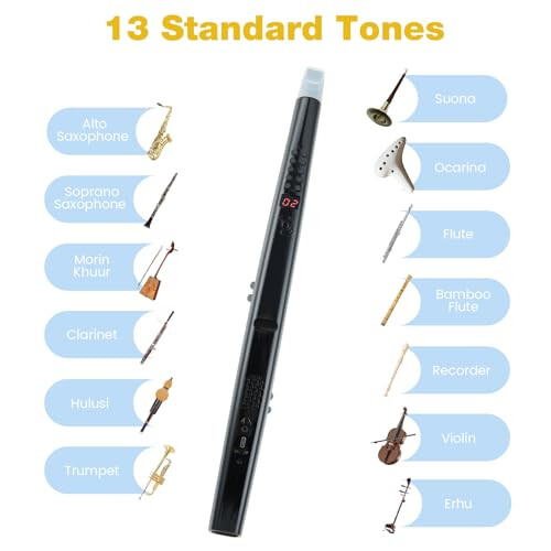 Maxmass Digital Wind Instrument 2