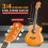 Pyle 6 String Acoustic Guitar Beginner Starter Kit Guitarra Acustica 2