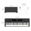 SONICAKE 61 Key Keyboard Piano Portable 7