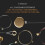 D'Addario Kaplan Amo Violin String - Single A String - KA312 4/4M - Violin 5