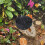 BABORUI Rain Drum 2