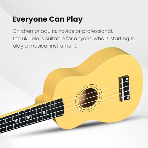 Winzz Soprano Ukulele Starter Kit For Beginners with Bag 1