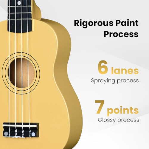 Winzz Soprano Ukulele Starter Kit For Beginners with Bag 2