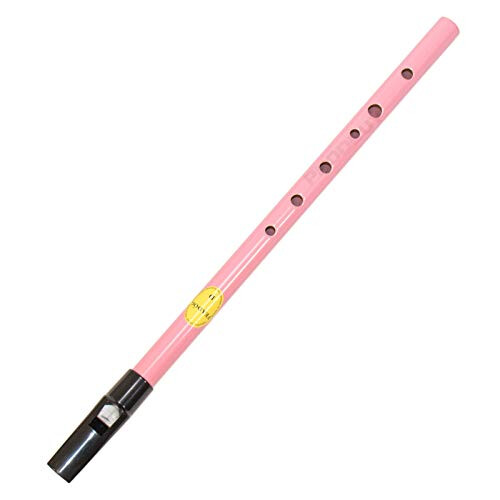 Pink Feadog Brass D Irish Tin Whistle 1