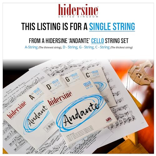 Hidersine Andante CELLO G String For 4/4-3/4 Size. Steel Core 1