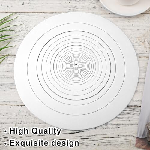 Turntable Platter Mat 2