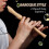 Baroque Recorder 8 holes 5