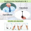 SUJAHHUJIQ UHF Wireless Headset Microphone 2
