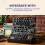 MOOG Subharmonicon Semi-Modular Analog Polyrhythmic Synthesizer with Dual 6