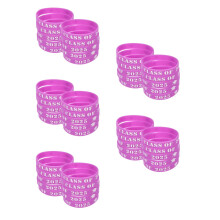 125St Elastische Siliconen Armbanden Paars, Voor Afstudeerfeest