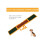 Pet Obedience Training Seesaw For Dog Agility 4