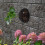 1Ensemble Capot Plastique Noir Fixation Facile Pour Orchidées 4