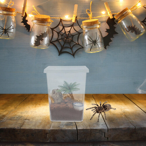 1Ensemble Terrarium Petite Cage ABS Multi Usage 2