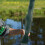 Filet De Vert Nylon Ouvert Portable Capture Multifonction 5