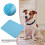 (Grass blue, M) Soft Pet Mat to Keep Cool Foldable Storage Space-saving for Outdoor Grass 3