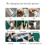 Elevate Your Brows: Portable Protective Cover Eyebrow Spoolie With Fast Makeup Application, 6Pieces 8