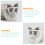 Ademend Kattenmasker Transparant Plastic Kattenaccessoire 6