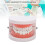 Portable Dental Learning Resource, Standard Teeth Model For Clear Morphological Structure Analysis, High Quality Plastic Ensures Sturdiness, 8