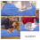 5Pcs Blue Microfiber Guinea Pig Pads Reusable Warm Cage Bedding 3