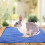 5Pcs Blue Microfiber Guinea Pig Pads Reusable Warm Cage Bedding 4