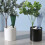 3 Pack Self-Watering Drip Irrigator Lazy Watering Device for Home Garden Green 4