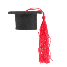 2Pcs Mini Doctorial Hat Red Tassel Cap Gift Decoration