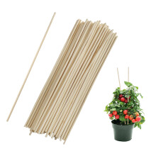 Suportes para plantas em bambu de alta qualidade, ideais para tomates, cestas de Páscoa e como acessório ecológico para jardinagem. Versáteis e