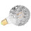 Pineapple G95 LED Bulb 4W Warm White 2700K 12