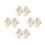 8Pcs Golden Hat Travel Case with Clear Window Foldable Hat Organizer 5