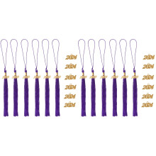 2Sets Kleurrijke DIY Diploma Hoedtassels 2023 Lichtgewicht Decoratie