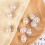 10Pcs Durable Round Pearl Buttons White for Jackets Clothes DIY Decor 5