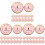 48Pièces Jetable Rose Pour Premier Anniversaire Bébé 1