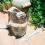 10Pcs Transparent Silicone Straw Tips Replacement for Kids Bottle Cups 5