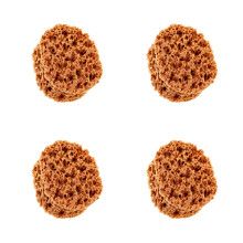 4Pcs Versatile Natural Sponges for Painting Art Craft DIY Light Brown
