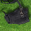 2Pcs Rabbit Harness Leash Black Ultra-Soft Adjustable Pet Walking Lead 11