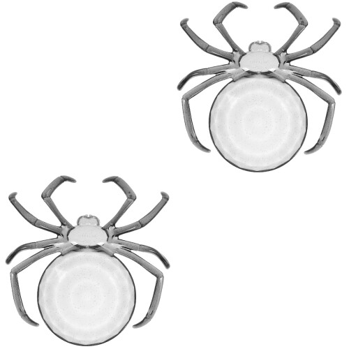 2Pcs Reusable Fruit Tray Spider Shaped Daily Use Dessert Plate