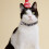 2Pcs Comfortable PU Pet Necklace Adjustable Reflective Cat Collar 10