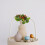 12Pcs Lovely Simulated Waxberries Multi Color Plastic Display Props 11