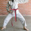 2Pcs Martial Art Karate Belt Soft Polyester-Cotton Multi Color Wrap 9