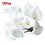 12pcs Calla Simulation Artificial Flower House Decoration - White 1