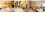 CR2032 86 Quattro-Gang Bianco ZigBee 3.0 50m Interruttore 11