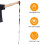 2Pièces Laisse Résistante Polyester Anti-Tirage Pour Balades 10