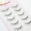 5 Pairs Fluffy Volume Lashes for Party Makeup 8