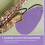 20Pcs Assorted Saxophone Maintenance Cloths Made of Artificial Suede 9