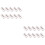 20St Cupcake Container Wit Met , Schokdempende Papieren Box 6
